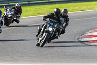 Lower Group White Bikes